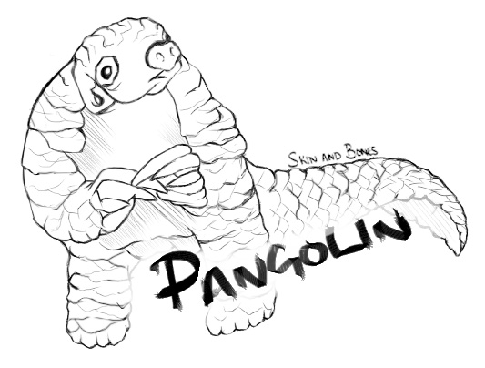 533x404 Pangolin Skin And Bones