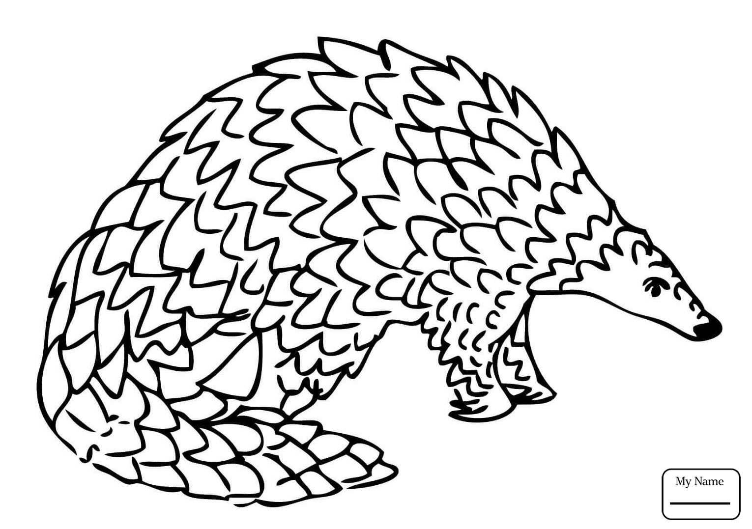 1530x1077 Coloring Pages Mammals Giant Pangolin