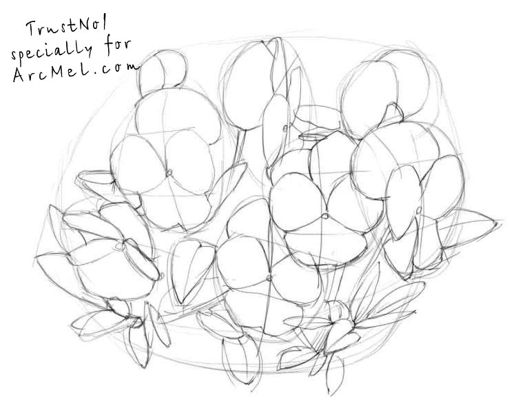 768x576 How To Draw Pansies Step By Step