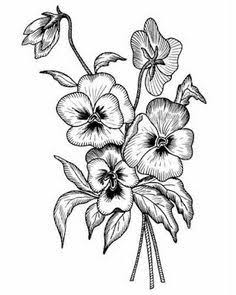 236x295 Image Result For Pansy Black And White Drawing Zentangle Flowers
