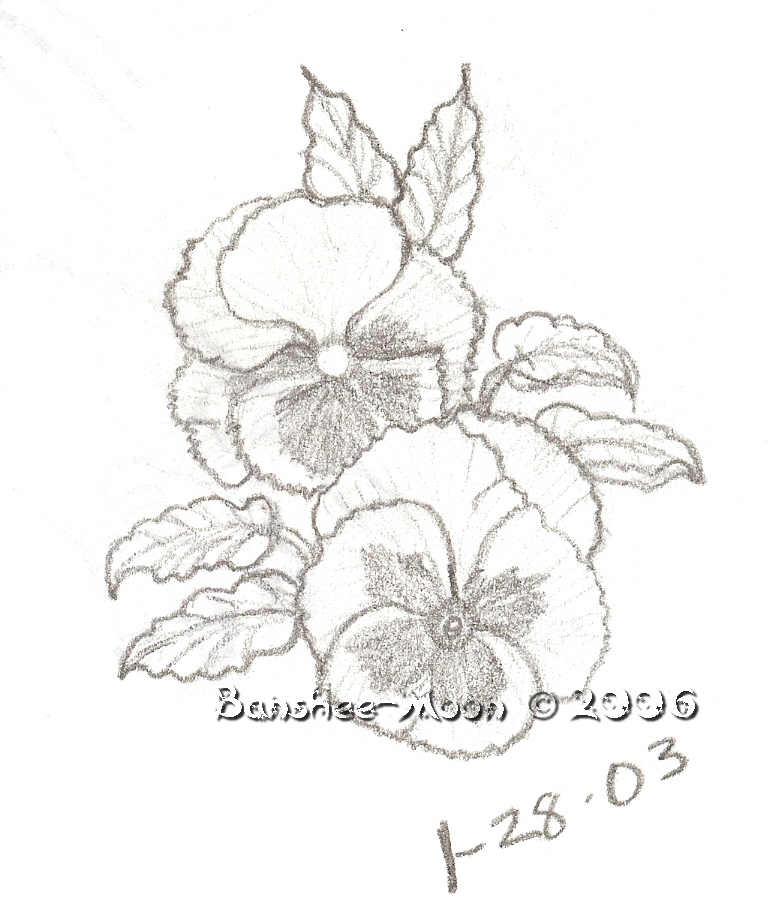 772x913 Pansies By Banshee Moon