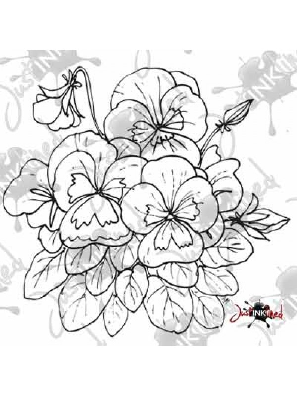600x800 Pansy Flower Line Drawing