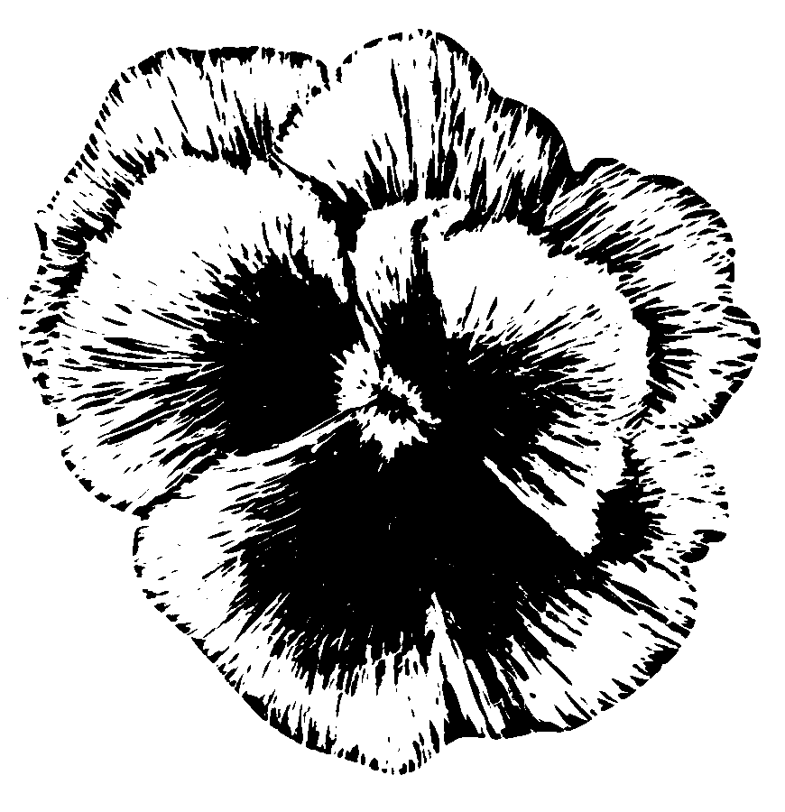 870x900 Filepansy (Psf).png