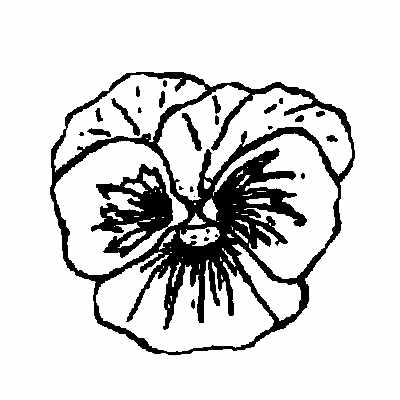 400x400 Purple Daisy Design Bit 15 Pansy Outline