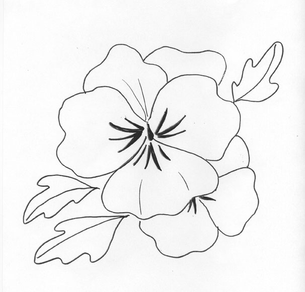 Pansy Drawing at GetDrawings | Free download