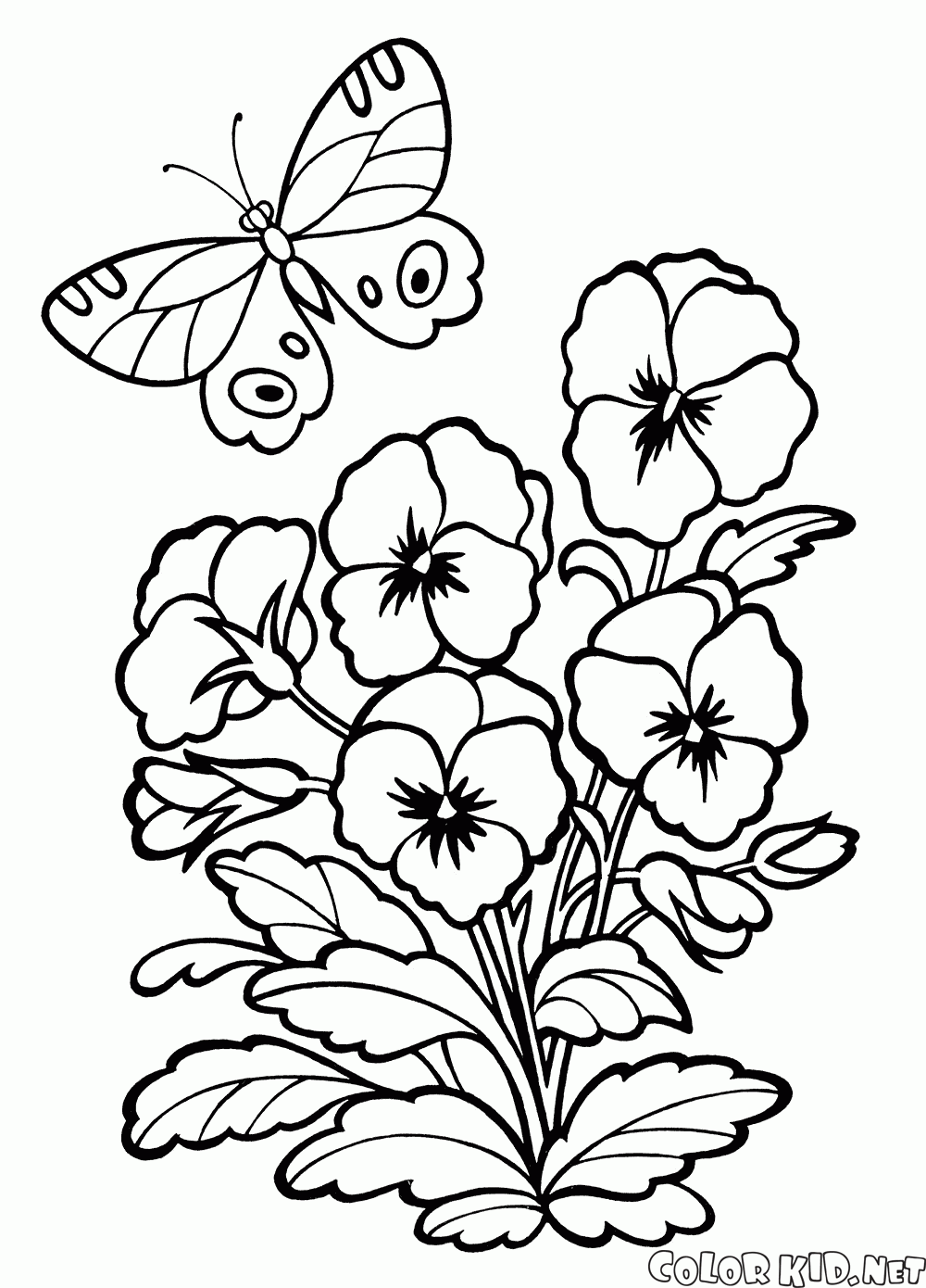 1000x1390 Coloring Page