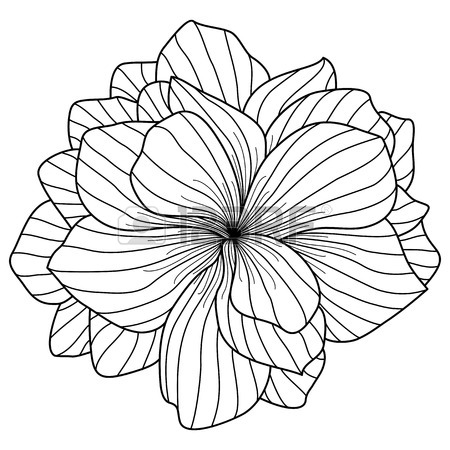 450x450 Pansy Flower Drawing Royalty Free Cliparts, Vectors, And Stock