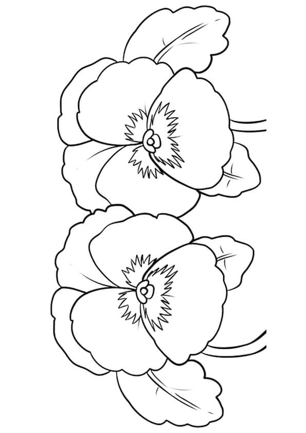 595x842 Beautiful Printable Flowers Coloring Pages