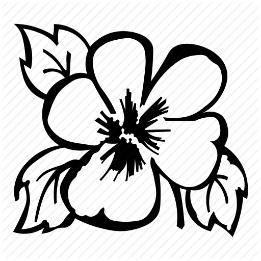 512x512 Buttercup Clipart Pansy Flower