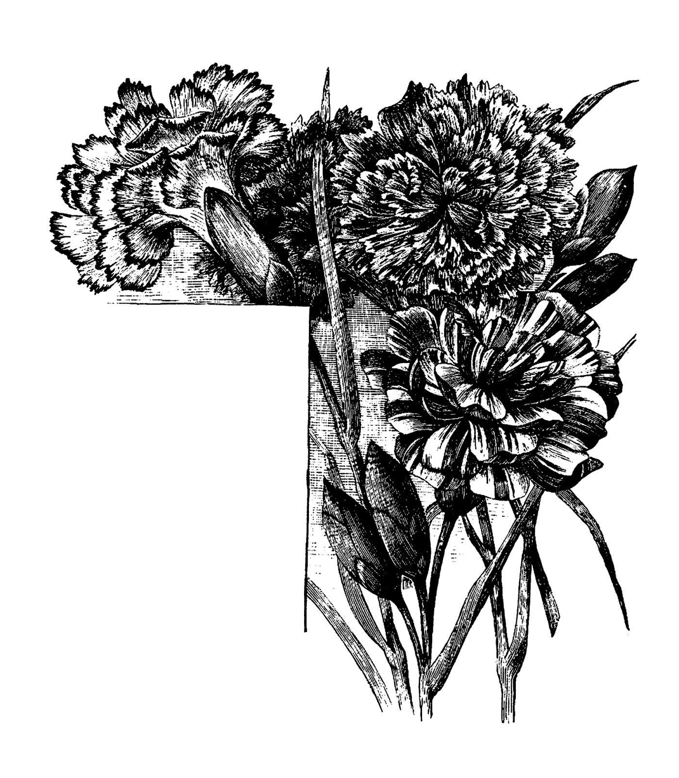 1398x1600 Digital Stamp Design Printable Crafting Flower Corner Design