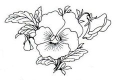 236x160 Pansy Clip Art