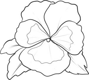 302x273 How To Draw A Pansy Step 5 Tattoo Ideas Drawings