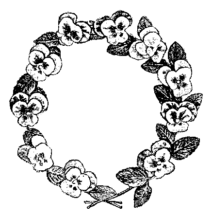 437x446 Pansy Flowers