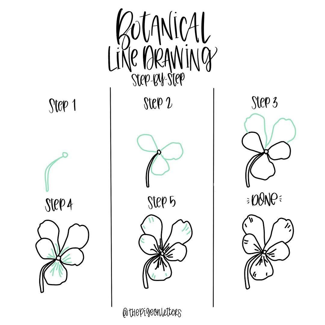 1080x1080 Step By Step Line Drawing Tutorial