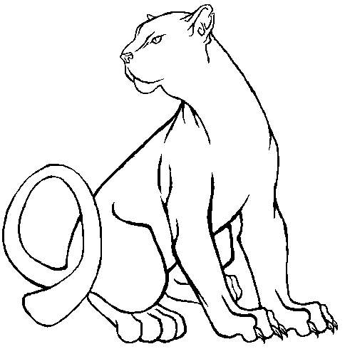 484x490 Black Panther By Shadowkira