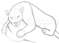 236x174 Panther Drawings Draw Panthers, Black Panthers, Step By Step