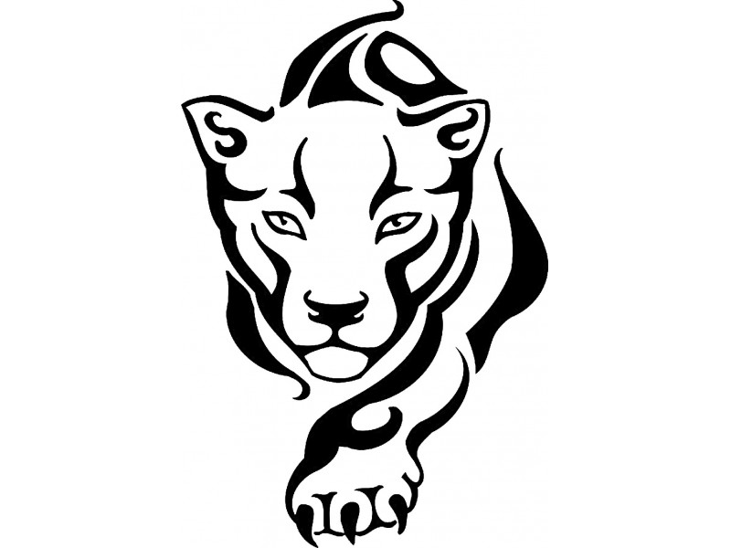 Panther Drawing Outline at GetDrawings | Free download