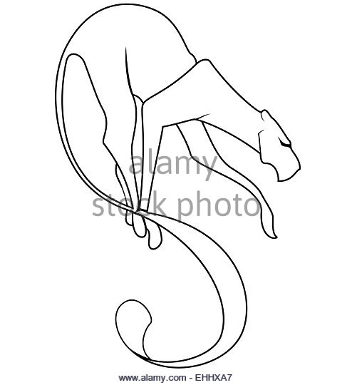 494x540 Panther Logo Stock Photos Amp Panther Logo Stock Images