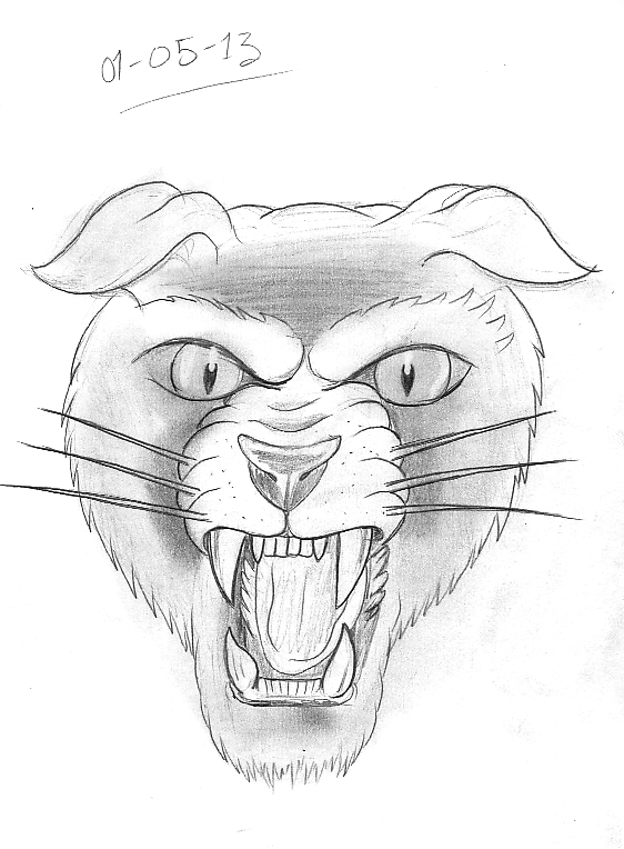 562x764 Tattoo Sketch A Day Cats May 1st