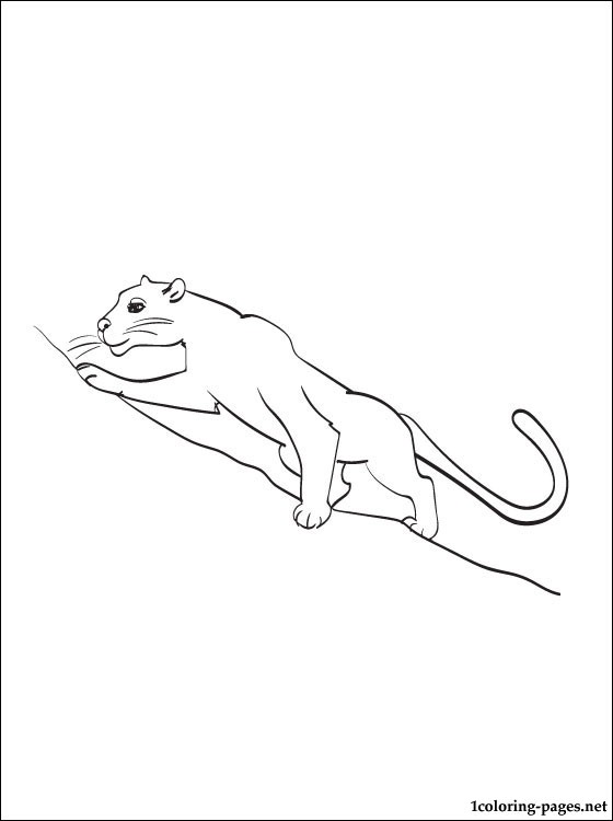 560x750 Coloring Page Panther Coloring Pages