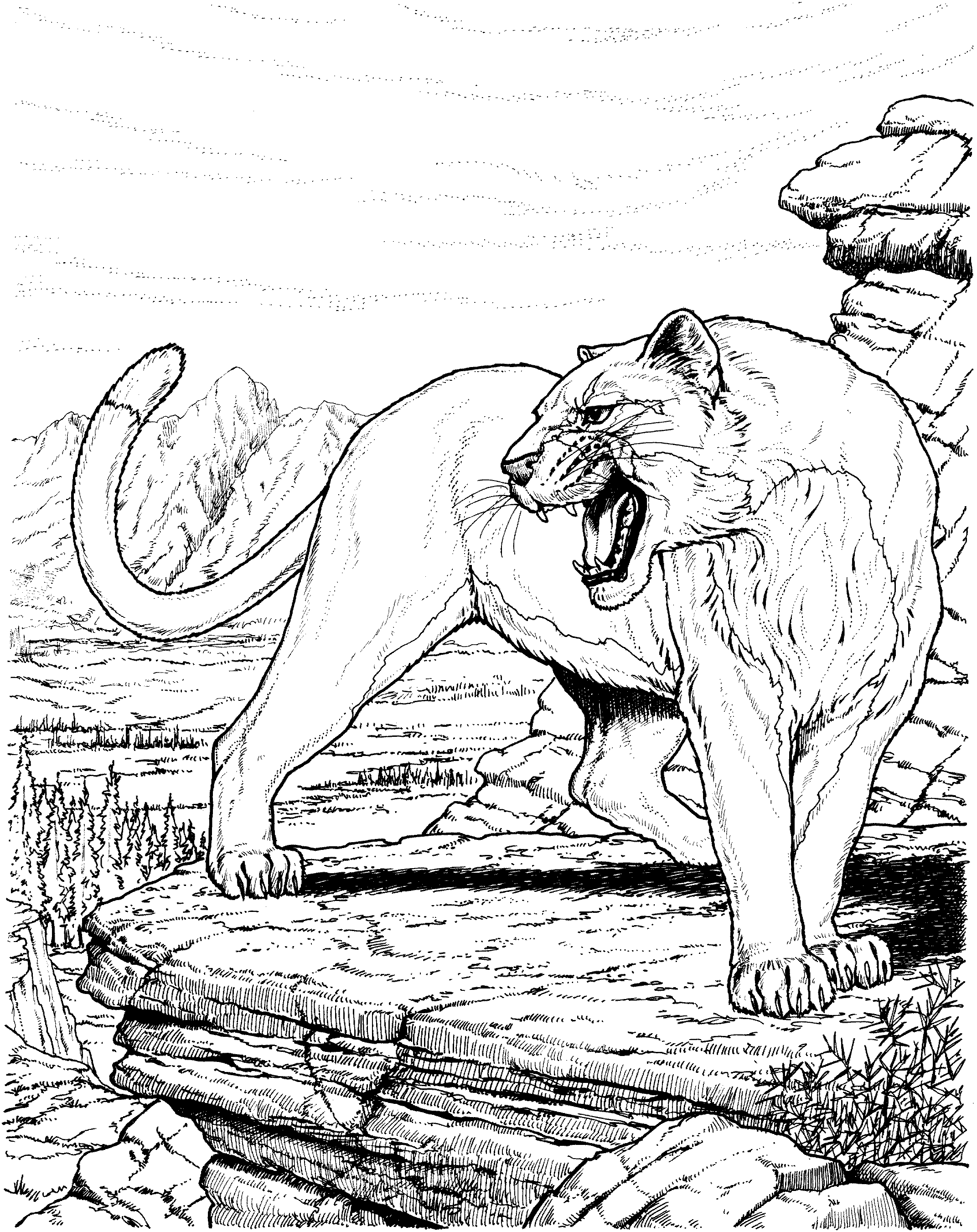 2143x2702 Panther Coloring Pages