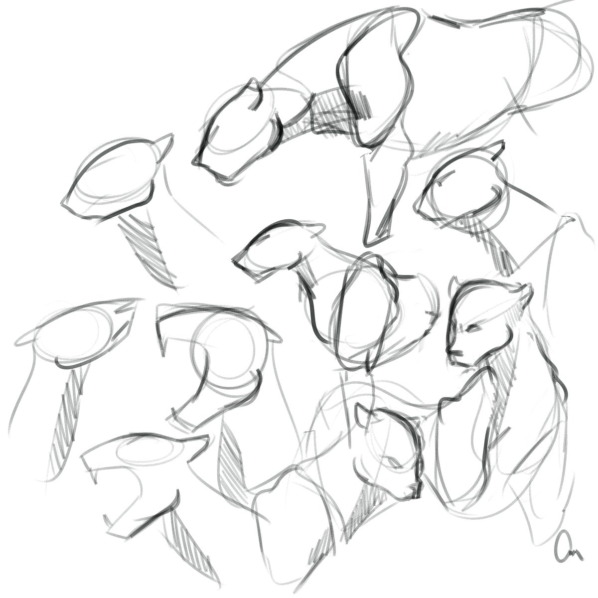 1200x1200 Mitzi Santillan On Twitter Drawing Panthers Bcs Ive Never Drawn