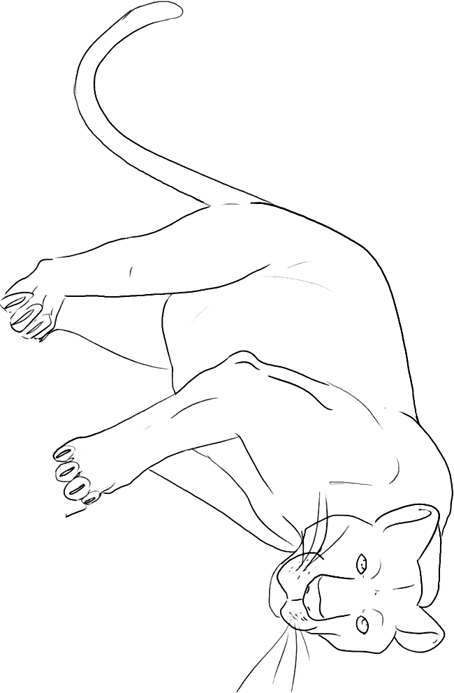 650x992 Panther Coloring Page