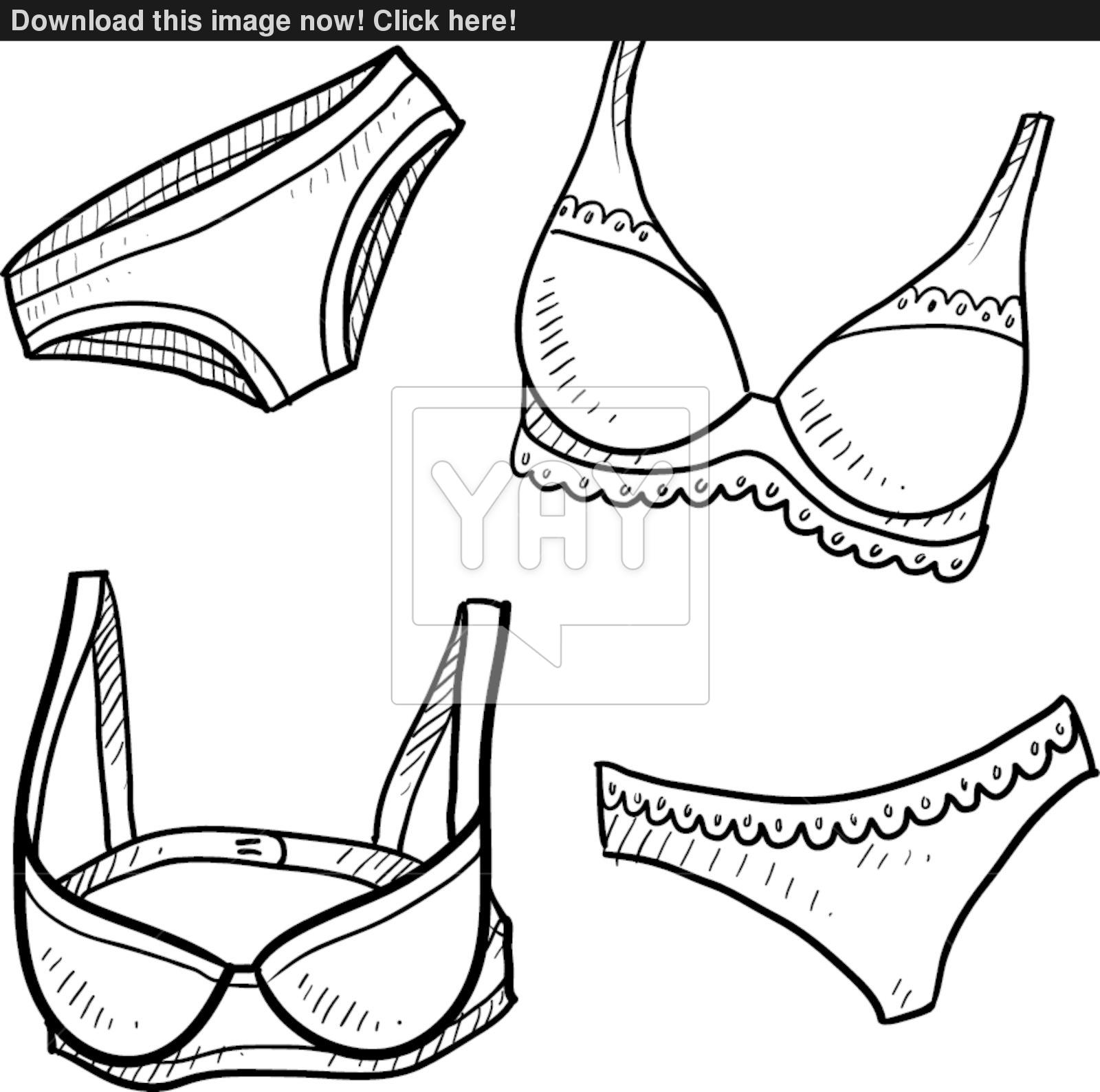 1600x1588 Lingerie And Women's Underwear Vector Sketch Vector