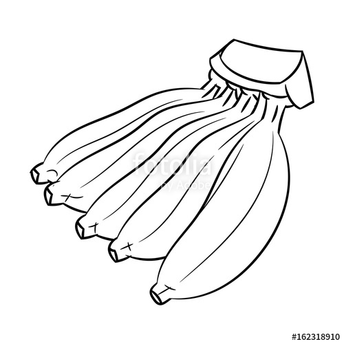 500x500 Line Drawing Of Banana Simple Line Vector Stock Image