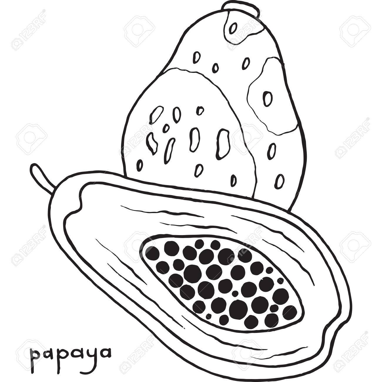1300x1300 Papaya Coloring Page. Graphic Vector Black And White Art
