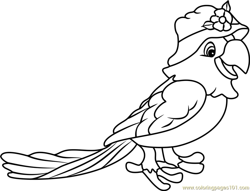 800x611 Papaya Parrot Coloring Page