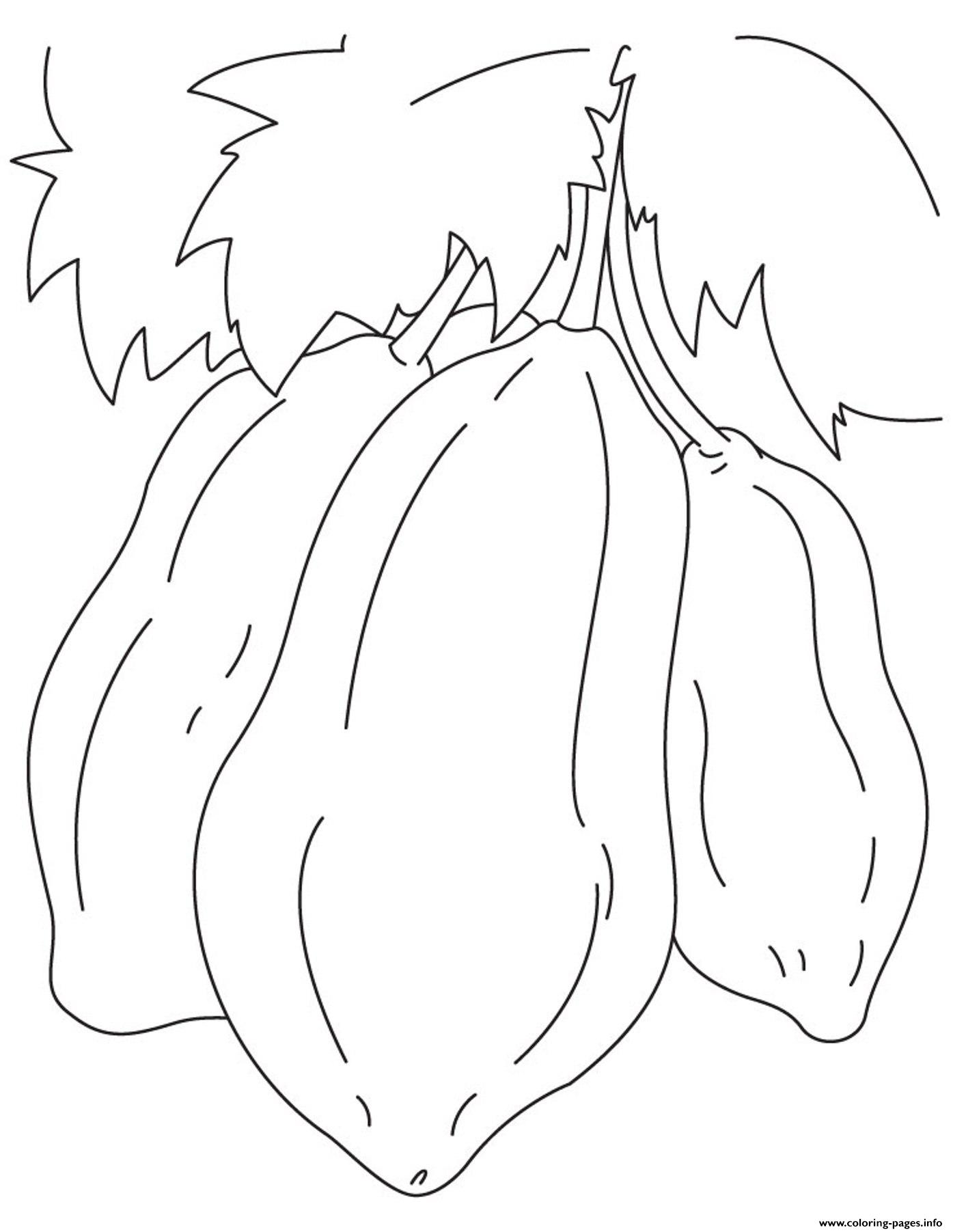 1395x1803 Three Papaya Fruit S5ed1 Coloring Pages Printable