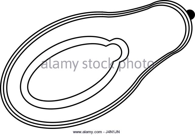 640x444 Papaya Black And White Stock Photos Amp Images