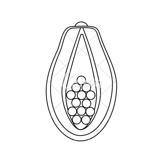 550x550 Papaya Fruit Icon