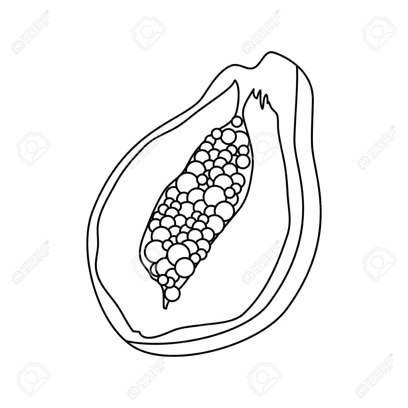 1300x1300 Papaya Sweet Fruit Icon Vector Illustration Graphic Design Royalty