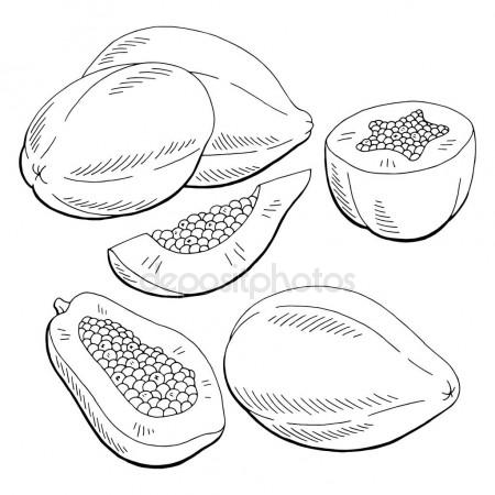 450x450 Papaya Fruit Graphic Black White Isolated Sketch Illustration