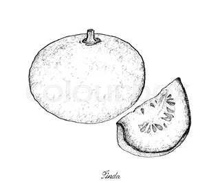 320x267 Tropical Fruits, Illustration Frame Of Hand Drawn Sketch Fresh