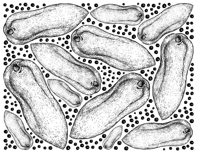 800x622 Tropical Fruits, Illustration Wallpaper Background Of Hand Drawn