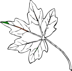 298x291 Maple Leaf Clip Art