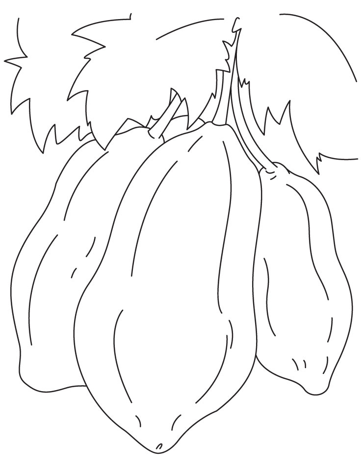 738x954 Papaya On Tree Coloring Pages Download Free Papaya On Tree