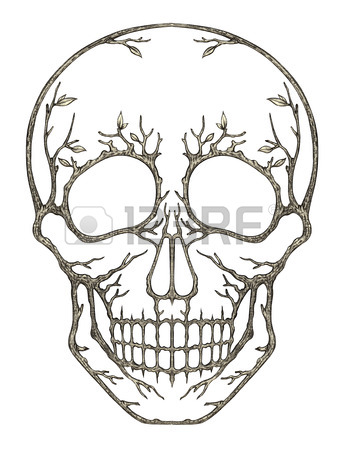 343x450 Art Skull Surreal Halloween Day.hand Pencil Drawing On Paper