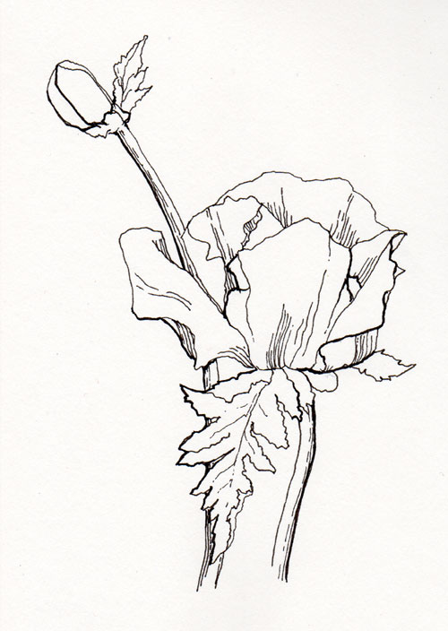 500x704 Pen, Pencil, May 2012