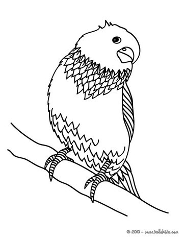 363x470 Parakeet Coloring Pages
