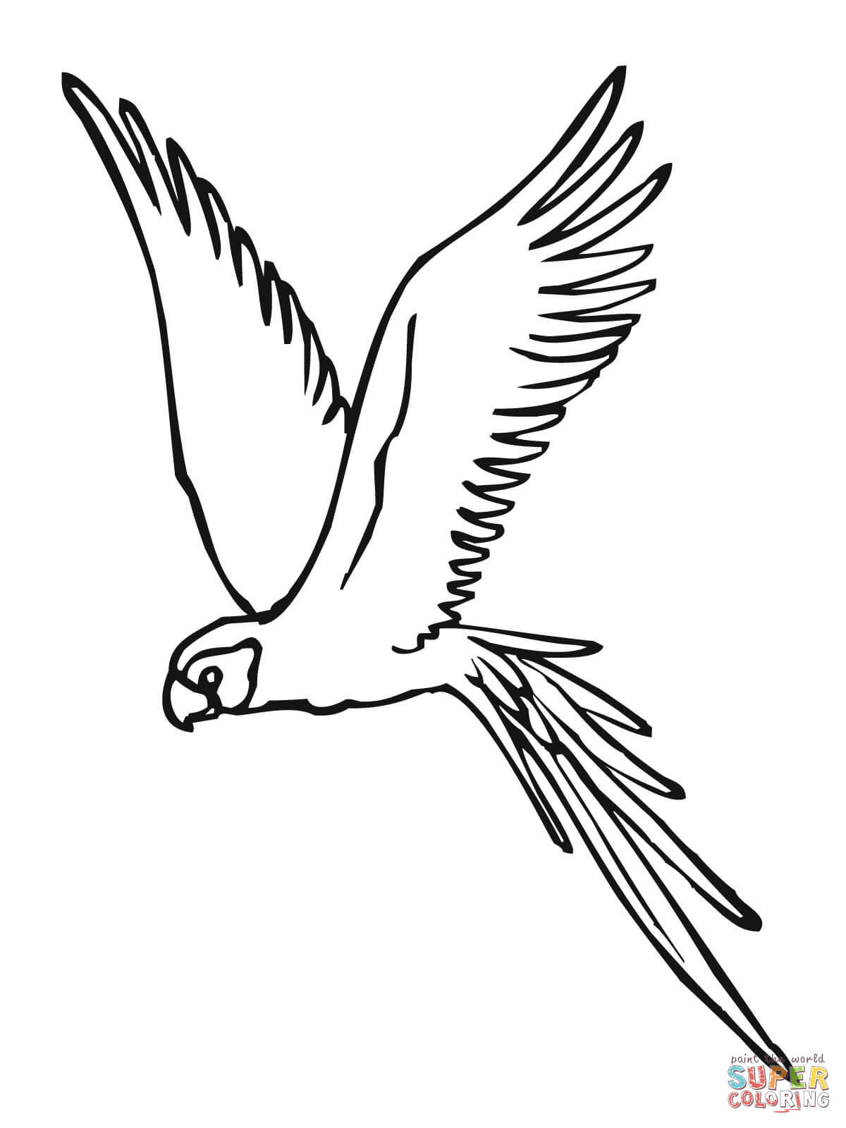 1200x1600 Parakeet Coloring Pages Free Coloring Pages