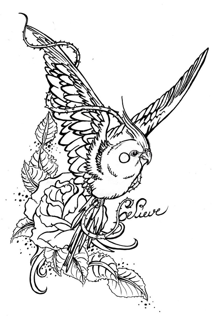 745x1072 Parakeet Tatoo Draw By Cawoohh21