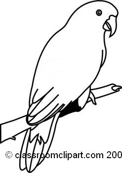 247x350 Parrot Black And White Clipart