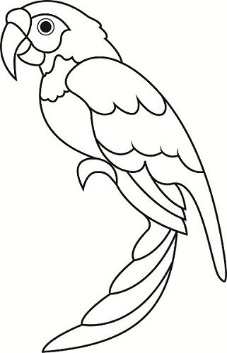 321x500 Parrot Clipart Black And White