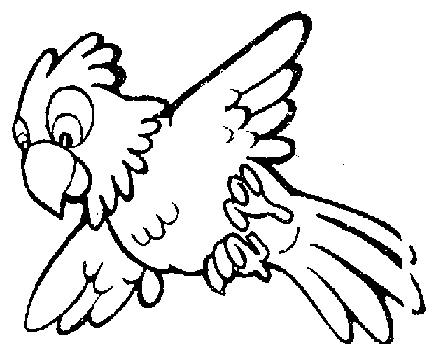 623x503 Parrot Clipart Black And White
