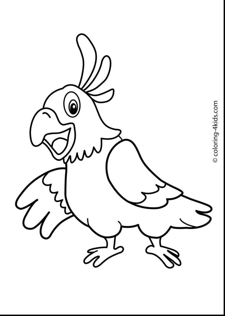 878x1231 Remarkable Printable Parrot Coloring Pages Kids With Page