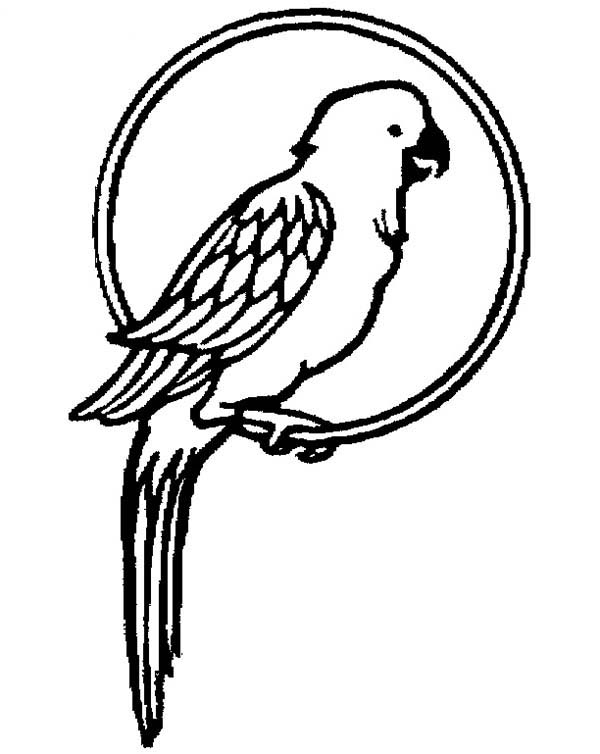 600x754 Best Parrot Coloring Pages Pictures